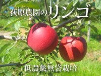 信州荻原農園の「元気なリンゴ」