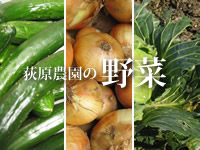 信州荻原農園の「元気な野菜」