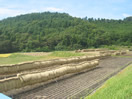 信州荻原農園の風景